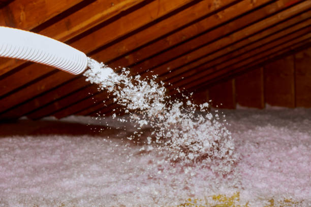 Best Specialty Insulation in Oelwein, IA