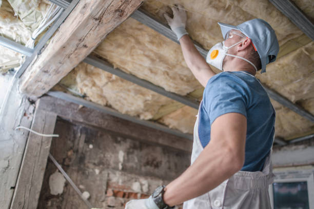 Best Insulation Installation Services in Oelwein, IA